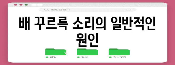 배 꾸르륵 소리 해결책 | 7가지 원인과 대처법
